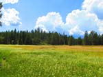 cannell_trail_IMG_1874