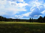 cannell_trail_IMG_1875