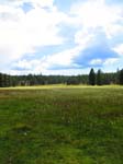 cannell_trail_IMG_1876