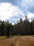 cannell_trail_IMG_1877