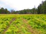 cannell_trail_IMG_1881