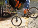 cannell_trail_IMG_1888