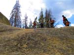 cannell_trail_IMG_1893