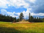 cannell_trail_IMG_1904