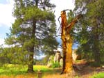cannell_trail_IMG_1905
