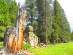 cannell_trail_IMG_1906