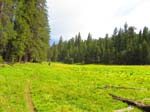 cannell_trail_IMG_1907