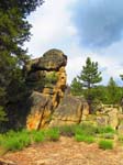 cannell_trail_IMG_1908