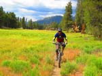 cannell_trail_IMG_1910