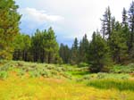 cannell_trail_IMG_1911