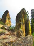 cannell_trail_IMG_1912