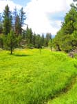 cannell_trail_IMG_1914