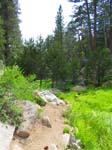 cannell_trail_IMG_1915