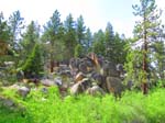 cannell_trail_IMG_1917