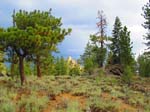 cannell_trail_IMG_1918