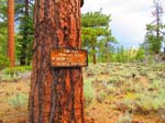 cannell_trail_IMG_1920