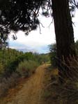cannell_trail_IMG_1921