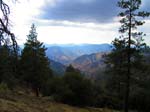 cannell_trail_IMG_1925