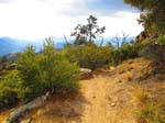 cannell_trail_IMG_1929
