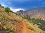 cannell_trail_IMG_1936