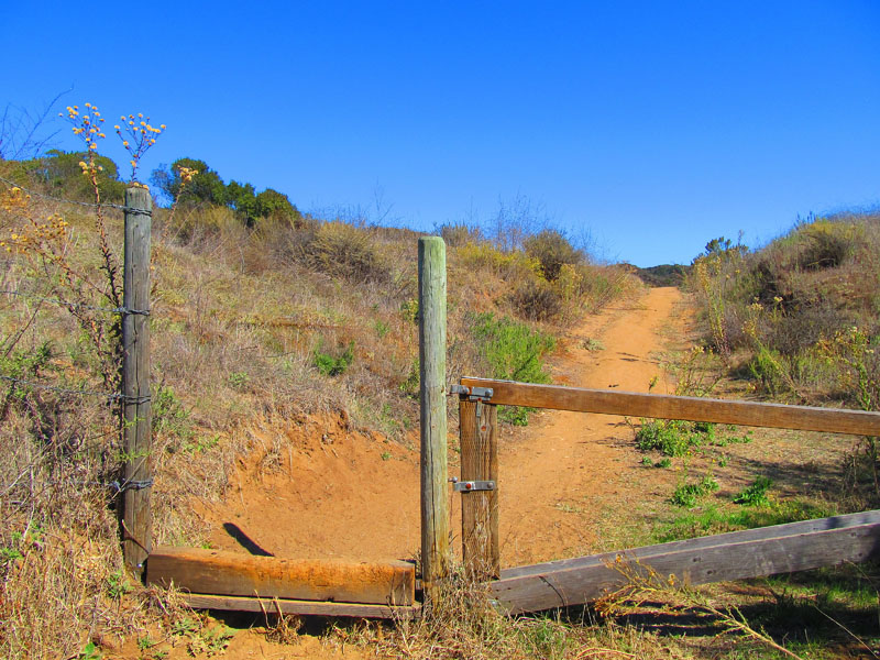 laguna_coast_wilderness_IMG_2260