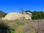 laguna_coast_wilderness_IMG_2231