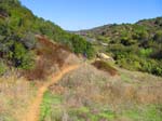 laguna_coast_wilderness_IMG_2235