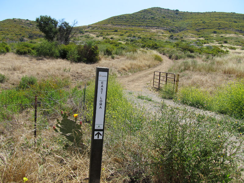 limestone_canyon_IMG_1079