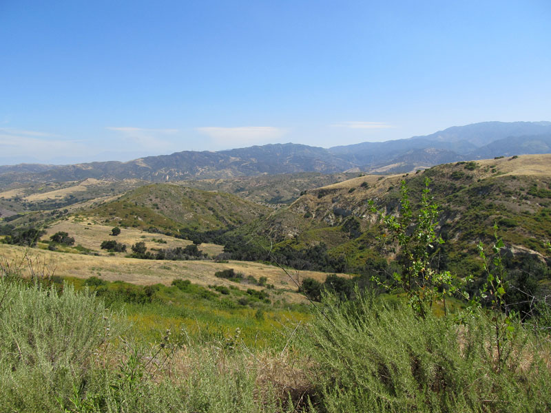 limestone_canyon_IMG_1081