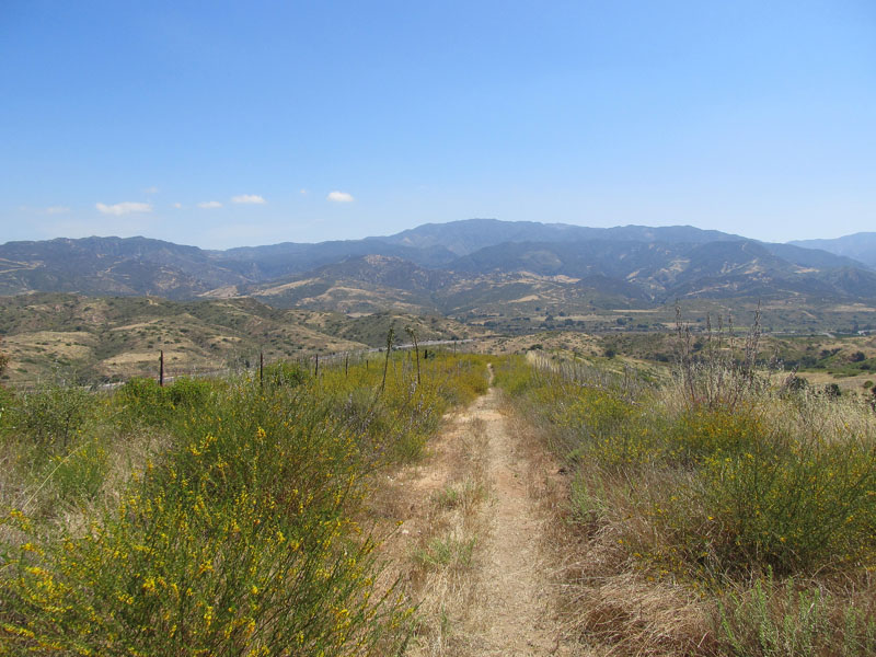 limestone_canyon_IMG_1102