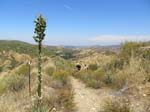 limestone_canyon_IMG_1115