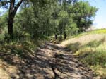 limestone_canyon_IMG_1118