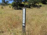 limestone_canyon_IMG_1119