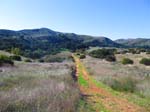 limestone_canyon_IMG_2478