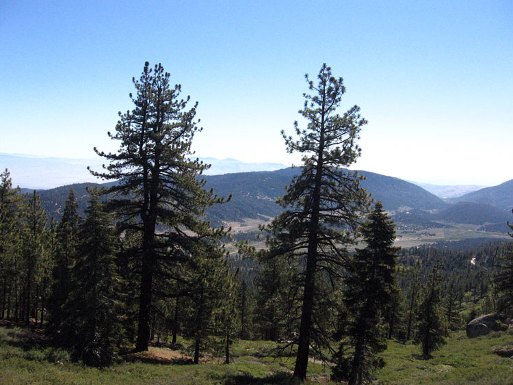 mt-pinos-mcgill-trail-0032