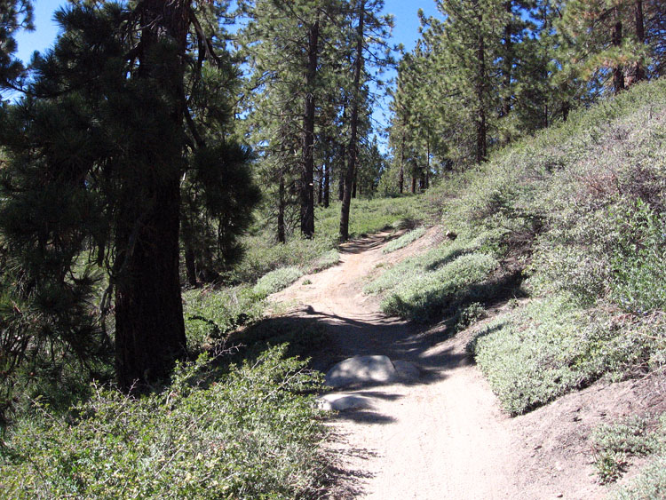 mt-pinos-mcgill-trail-0037