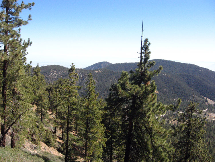 mt-pinos-mcgill-trail-0041