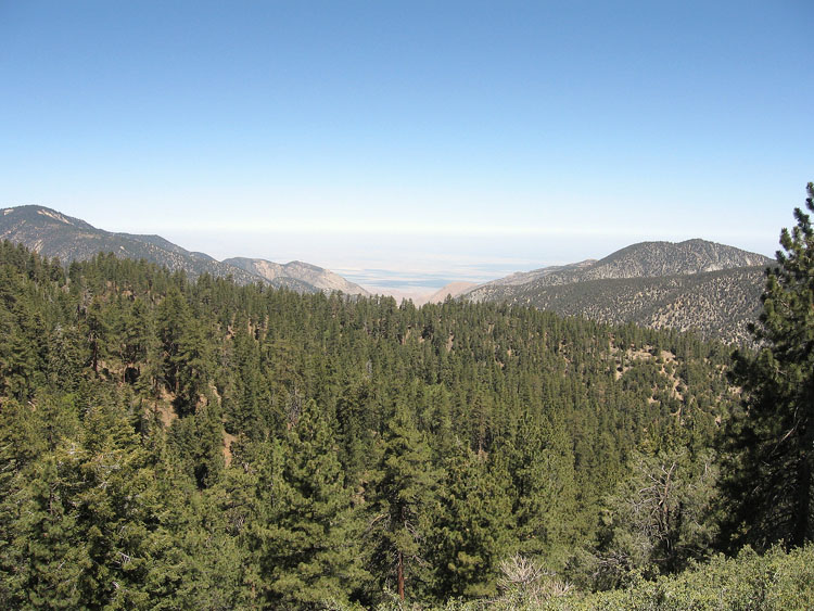 mt-pinos-mcgill-trail-0072