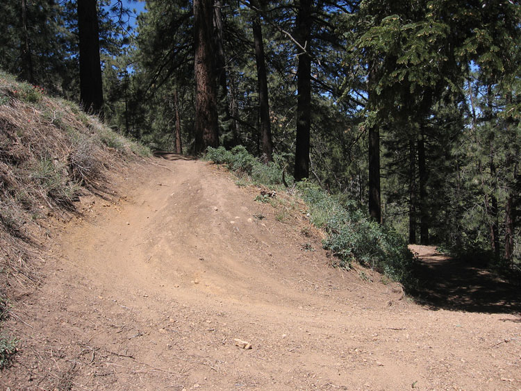 mt-pinos-mcgill-trail-0074