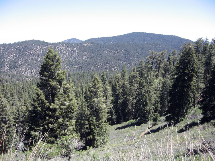 mt-pinos-mcgill-trail-0075