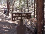 mt-pinos-mcgill-trail-0024