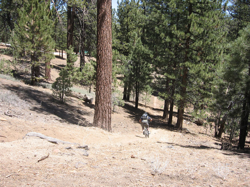 mt-pinos-032