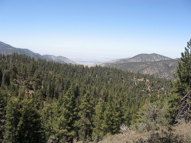 mt-pinos-072