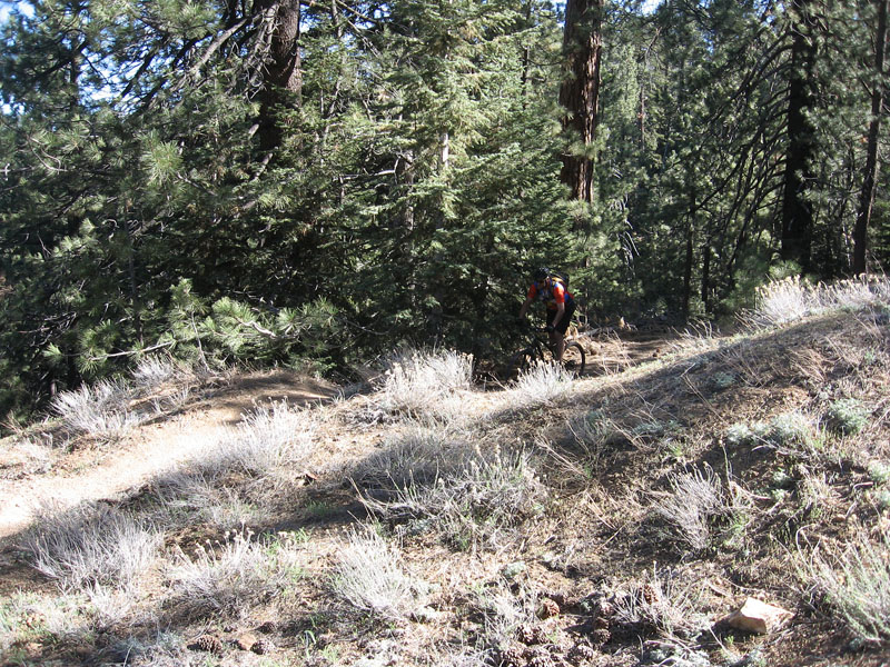 mt-pinos-084