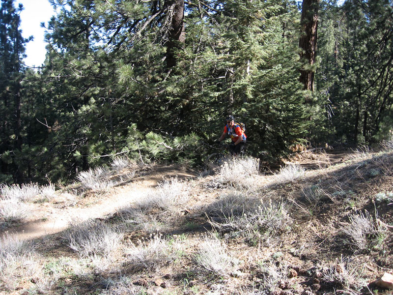 mt-pinos-085