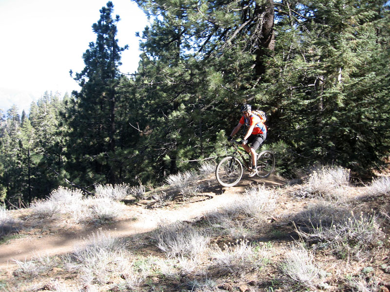 mt-pinos-086