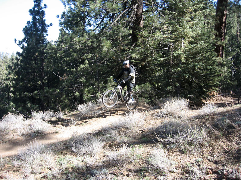 mt-pinos-088