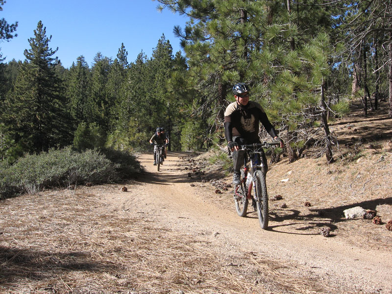 mt-pinos-094