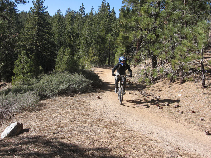 mt-pinos-096