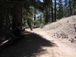 mt-pinos-047